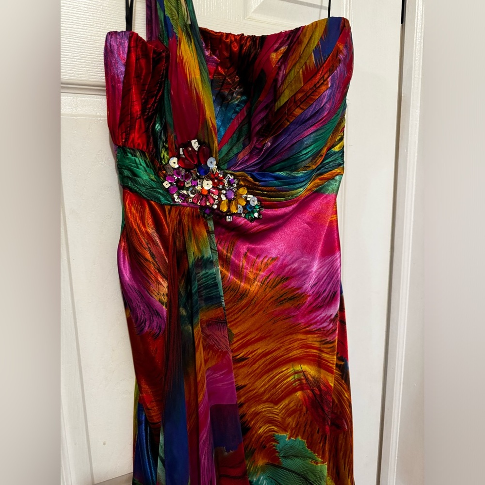 Worn Once peacock styled dress Size 10 - Picture 2 of 5